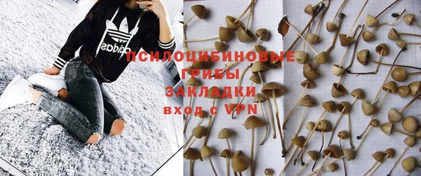 круглые Абаза