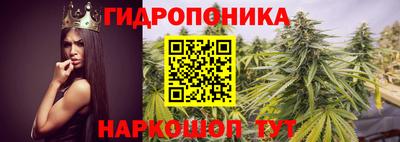 spice Краснознаменск