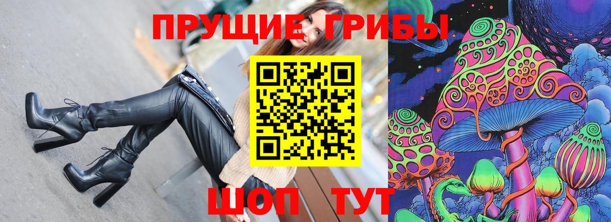 Карпинск  Псилоцибиновые грибы прущие грибы  Вход с VPN 