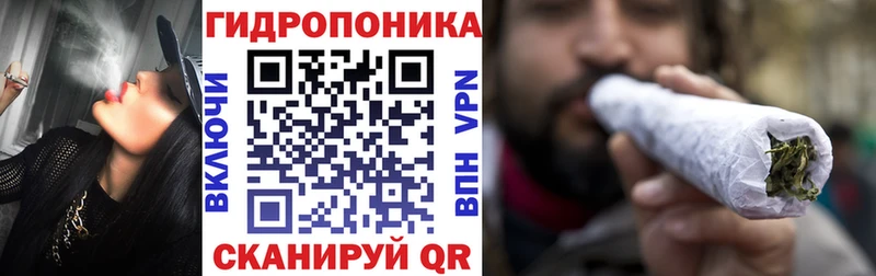 Бошки Шишки планчик закладки Карпинск